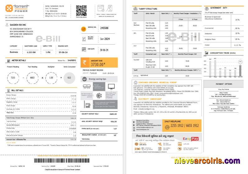 INDIA TORRENT POWER business utility bill
